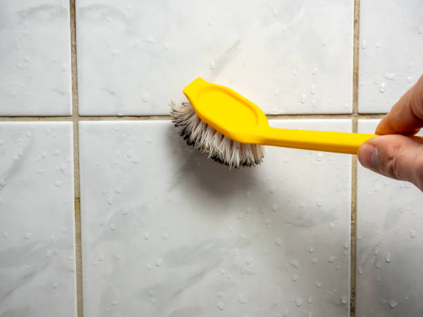 Best Commercial Mold Removal  in Elkton, KY
