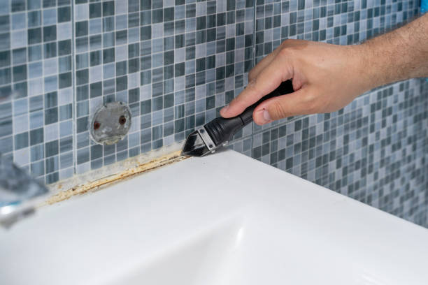Best Professional Mold Removal  in Elkton, KY